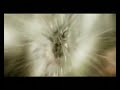 AZAD - B.O.Z.Z.DURCHGRIFF - feat. JEYZ. MANUELLSEN .mp4