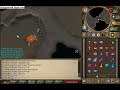 Successfull corporeal beast duo Divine sigil drop.