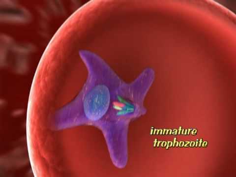 2007 Demo Reel