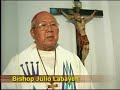 Trillanes "Magdalo" for Senator -bishop