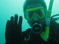 diving with andy and wendy
groper feeding, schools of catfish and port jackson

by: brian lam