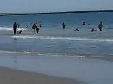 Jackson and Sally in Rhode Island