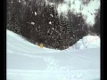 Twitntip på Bjørnstad og Hovden i vinterferien 2011