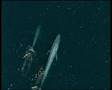 BBC The Blue Planet (Dean James Fletcher)