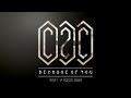 C2C – Because of You ft. Pigeon John