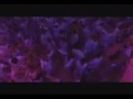 Armin Van Buuren- Fiestas Sensation White. www.bairessession