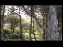 Na área do parque encontram-se diversos tipos de paisagens e habitats naturais e semi-naturais, tais como arribas e falésias abruptas e recortadas, praias, várias ilhotas e recifes