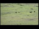 Descobra a Natureza