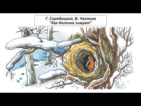 Рассказ скребицкого как белочка зимует