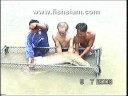 Predator fishing in Thailand at IT Lake Monsters