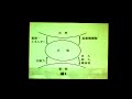 Click here to watch this video 20110709 上野千鶴子 震災支援特別講演(2/2)「生き延びるための思想」