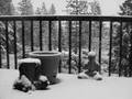 A White Day After Christmas