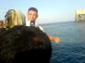 EL HADJA EL 3AWAMA