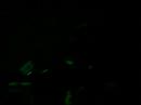 zemfira nepo6loe dortmund zemfira nepo6loe dortmund