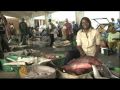 Senegal's fishermen struggle to stay afloat - 10 May 09