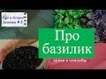 Видео - Про базилик: сроки и способы посадки. Сад и Огород.