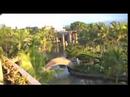 View From Hawaii Hotel Part 1 View From Hawaii Hotel Part 1
