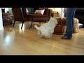 doolin clean up.MOV