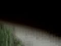 Dunk