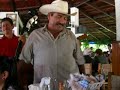 chalo gonzalez piporro 11