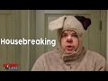 Comedy Time - Roscoe the Party Dog: Housebreaking