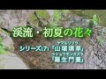 ラショウ