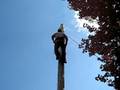 videos de NCSU pole climb