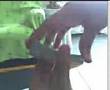 Diargi Magic #3