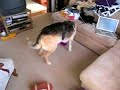 The Barney Files: Episode 1