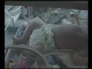 Serena Aliz�e Szikora Manfredi 21 07 2007 11:20
