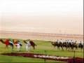 ملك الناموس