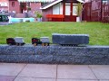 45 kg pulling whits lego !!! 45 kg pulling whits lego !!!