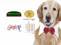 Dine With PAWS Plug Dine With PAWS Plug