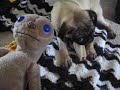 Moonpie & E.T. Moonpie & E.T.