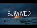 Open video
