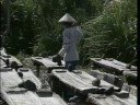 Bali Travel Doc - Part 08