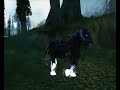 Death knight mount - Wotlk Death knight mount - Wotlk