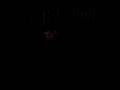 videos de bobo malade