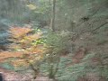 Riding on a Harley in Cherry Log Georgia (Near Blue Ridge) in the Mountains