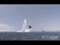 Megalodon Secret