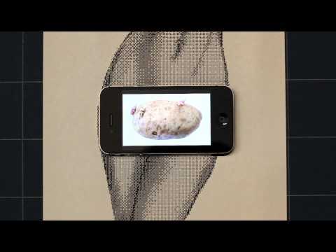 Immagine anteprima YouTube