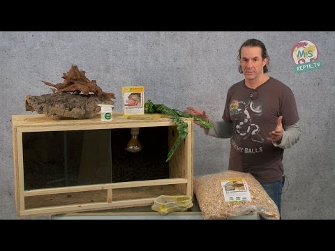 Reptil TV - Folge 75 - DIY Reptilien Holz Terrarium