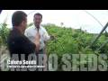 ExpoAgro TV 30 Nov