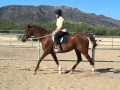 Kerkorian Under Saddle August 2010