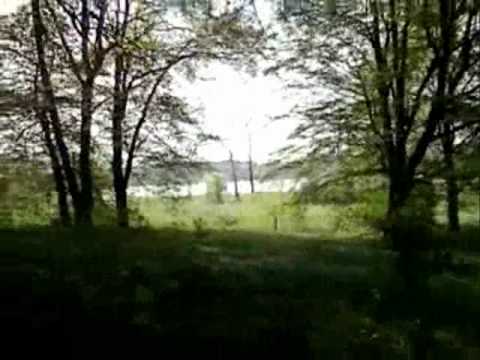 Zobacz wideo