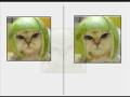 videos de How to make better looking GIFs