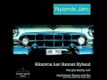 Nylands Järn - Vi simmar över älven
