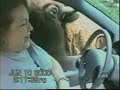 caidas   golpes   risa   funny   animals   bloopers