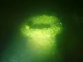 m y  alastor wreck dive qubsac northern ireland