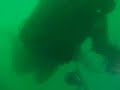 m y  alastor wreck dive qubsac northern ireland